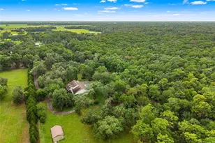 17163 Benes Roush Rd, Brooksville, FL 34604 - Photo 68