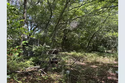 12506 Walton Avenue, New Port Richey, FL 34654 - Photo 4