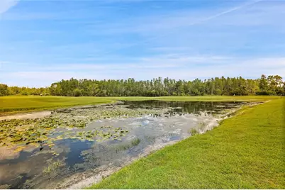 7154 Melogold Circle, Land O Lakes, FL 34637 - Photo 6