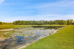 7154 Melogold Cir, Land O Lakes, FL 34637 - Photo 6