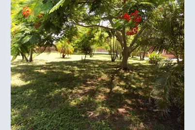 3849 Edgemont Drive, New Port Richey, FL 34652 - Photo 34