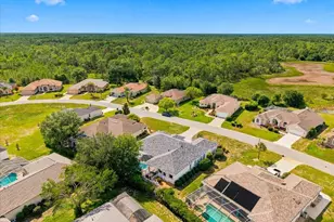 8402 Maybelle Dr, Weeki Wachee, FL 34613 - Photo 56