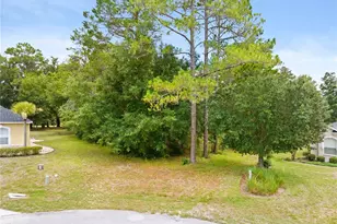 17 Woodlee Ct S, Homosassa, FL 34446 - Photo 1