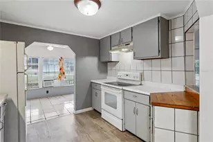 19514 Anton Rd, Land O Lakes, FL 34638 - Photo 10