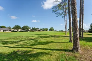 18607 Bent Pine Dr, Hudson, FL 34667 - Photo 46