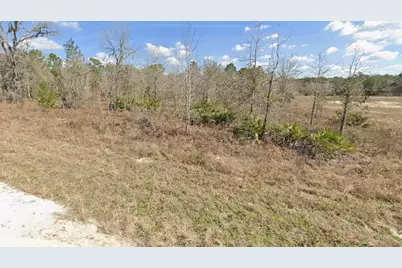 Courlan Road, Weeki Wachee, FL 34614 - Photo 4