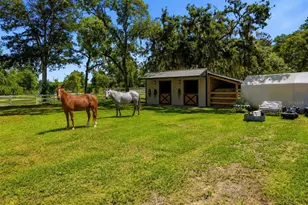 16700 Auburndale Ln, Spring Hill, FL 34610 - Photo 8
