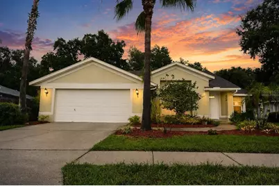 24449 Painter Drive, Land O Lakes, FL 34639 - Photo 1