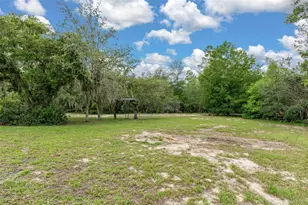 7335 Blackbird Ave, Weeki Wachee, FL 34613 - Photo 48