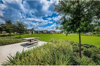 6376 Spider Lily Way, New Port Richey, FL 34653 - Photo 86