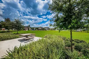 6376 Spider Lily Way, New Port Richey, FL 34653 - Photo 86