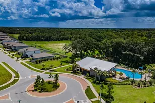 6376 Spider Lily Way, New Port Richey, FL 34653 - Photo 66