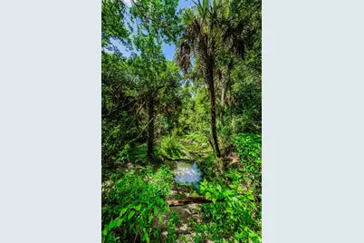 6376 Spider Lily Way, New Port Richey, FL 34653 - Photo 94