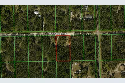 33240 Tombstone Street, Webster, FL 33597 - Photo 1