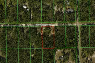33240 Tombstone St, Webster, FL 33597 - Photo 1