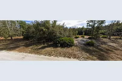 33240 Tombstone Street, Webster, FL 33597 - Photo 4