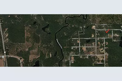 33240 Tombstone Street, Webster, FL 33597 - Photo 2