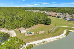 27405 Sora Blvd, Wesley Chapel, FL 33544 - Photo 36