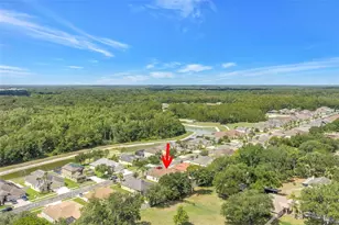 27405 Sora Blvd, Wesley Chapel, FL 33544 - Photo 88