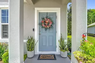 11994 Grizzly Ln, New Port Richey, FL 34654 - Photo 6