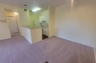10020 Strafford Oak Ct, Tampa, FL 33624 - Photo 12