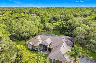 10301 Fox Sparrow Ave, Weeki Wachee, FL 34613 - Photo 58