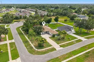 13194 Roseanna Dr, Spring Hill, FL 34609 - Photo 74