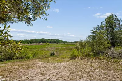 6381 Pinehurst Drive, Spring Hill, FL 34606 - Photo 42