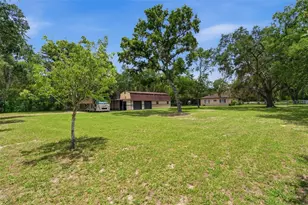 15041 Camrose Ave, Spring Hill, FL 34610 - Photo 4