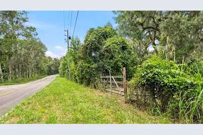 0 Cedar Lane, Brooksville, FL 34601 - Photo 6