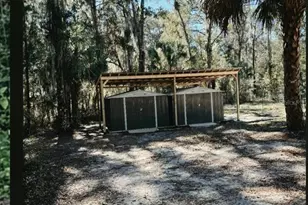 14207 Carolina Dove Rd, Weeki Wachee, FL 34614 - Photo 6
