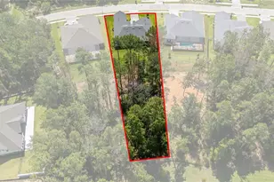 3926 Southern Valley Loop, Brooksville, FL 34601 - Photo 54