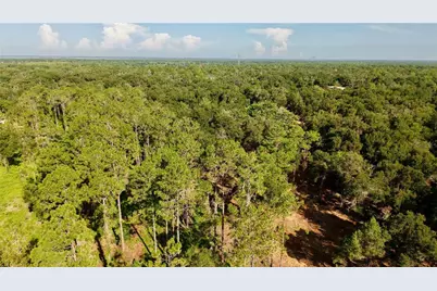 450 Old Geneva Road, Geneva, FL 32732 - Photo 10