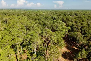 450 Old Geneva Rd, Geneva, FL 32732 - Photo 10