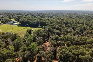 450 Old Geneva Rd, Geneva, FL 32732 - Photo 12