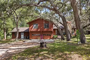 10221 Osceola Dr, New Port Richey, FL 34654 - Photo 2