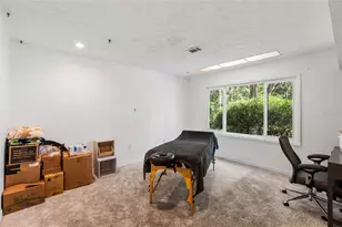 10221 Osceola Dr, New Port Richey, FL 34654 - Photo 36