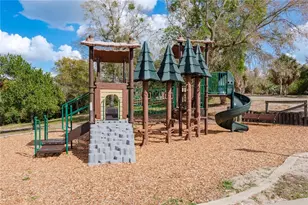 1462 Lakeview Dr, Tarpon Springs, FL 34689 - Photo 44