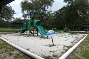 12199 SW 44th Dr, Webster, FL 33597 - Photo 56