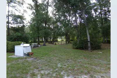 12199 SW 44th Drive, Webster, FL 33597 - Photo 12