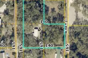 12199 SW 44th Dr, Webster, FL 33597 - Photo 44