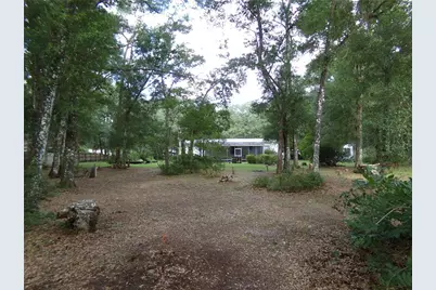 12199 SW 44th Drive, Webster, FL 33597 - Photo 14