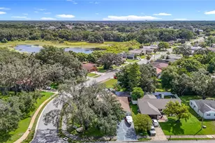 12529 Shadow Ridge Blvd, Hudson, FL 34669 - Photo 52