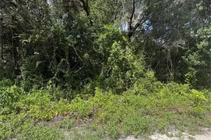 Spare Dr, New Port Richey, FL 34654 - Photo 1