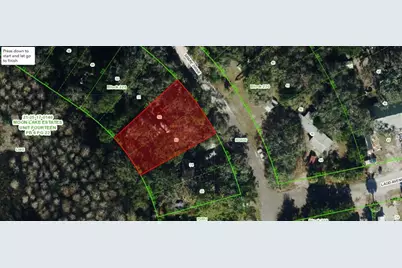 Spare Drive, New Port Richey, FL 34654 - Photo 4