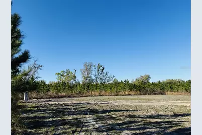 10465 161st Street, Live Oak, FL 32060 - Photo 2