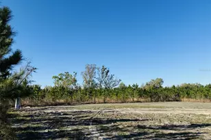 10465 161st St, Live Oak, FL 32060 - Photo 2