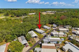9528 Gray Fox Dr, Weeki Wachee, FL 34613 - Photo 28