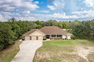 343 Royal Palm Way, Spring Hill, FL 34608 - Photo 2