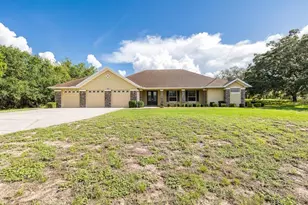 343 Royal Palm Way, Spring Hill, FL 34608 - Photo 6